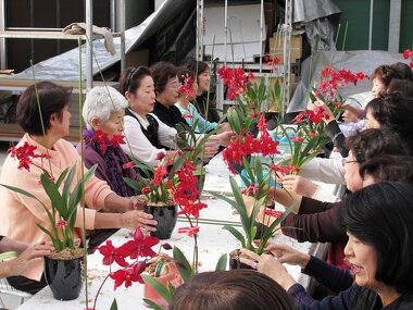 秋の研修会「彗星らん 植付け体験」
